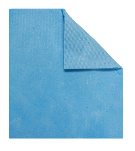 Sponge Cloth - Blue - Pack of 10