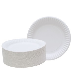 Round Paper Plates